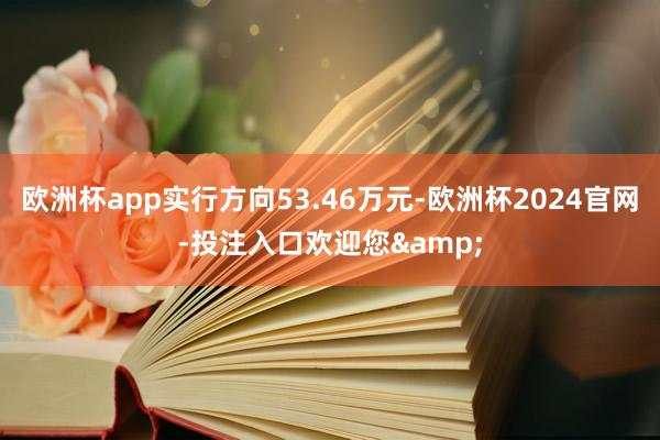 欧洲杯app实行方向53.46万元-欧洲杯2024官网-投注入口欢迎您&