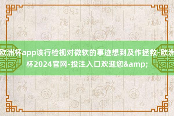 欧洲杯app该行检视对微软的事迹想到及作拯救-欧洲杯2024官网-投注入口欢迎您&