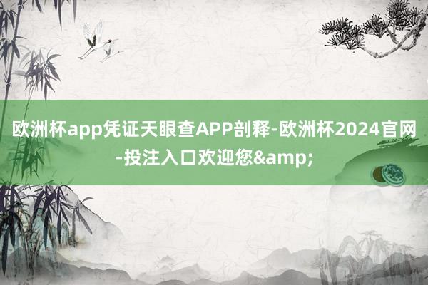 欧洲杯app凭证天眼查APP剖释-欧洲杯2024官网-投注入口欢迎您&