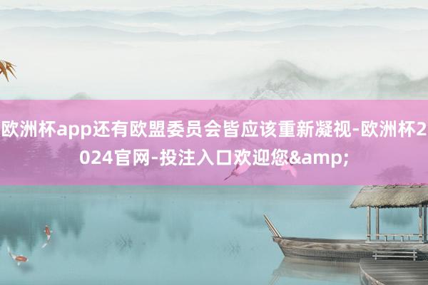 欧洲杯app还有欧盟委员会皆应该重新凝视-欧洲杯2024官网-投注入口欢迎您&