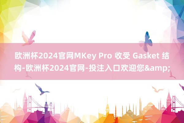 欧洲杯2024官网MKey Pro 收受 Gasket 结构-欧洲杯2024官网-投注入口欢迎您&