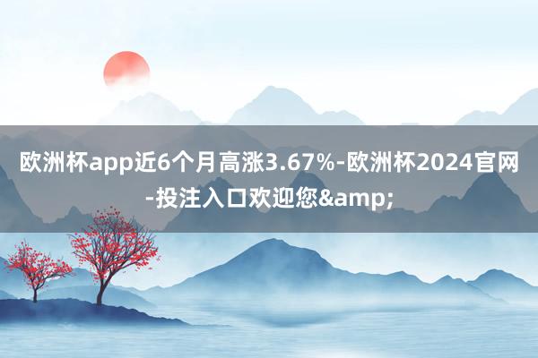 欧洲杯app近6个月高涨3.67%-欧洲杯2024官网-投注入口欢迎您&