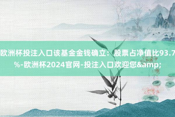 欧洲杯投注入口该基金金钱确立：股票占净值比93.7%-欧洲杯2024官网-投注入口欢迎您&