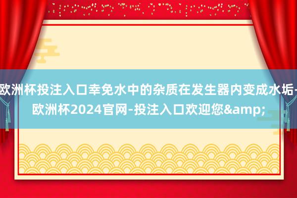 欧洲杯投注入口幸免水中的杂质在发生器内变成水垢-欧洲杯2024官网-投注入口欢迎您&