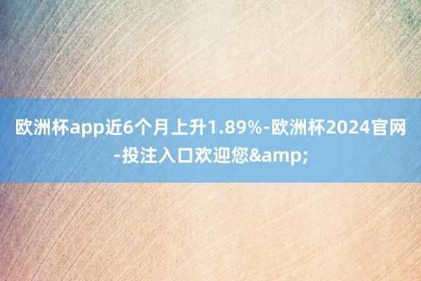 欧洲杯app近6个月上升1.89%-欧洲杯2024官网-投注入口欢迎您&