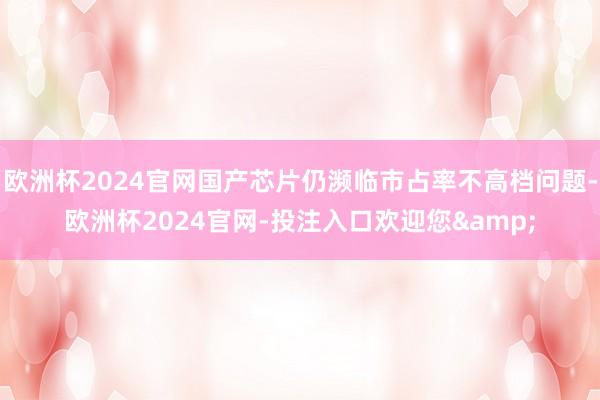 欧洲杯2024官网国产芯片仍濒临市占率不高档问题-欧洲杯2024官网-投注入口欢迎您&