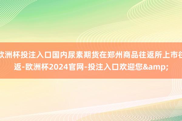 欧洲杯投注入口国内尿素期货在郑州商品往返所上市往返-欧洲杯2024官网-投注入口欢迎您&