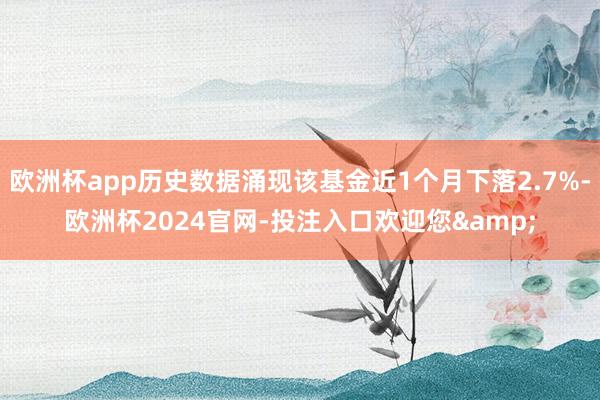 欧洲杯app历史数据涌现该基金近1个月下落2.7%-欧洲杯2024官网-投注入口欢迎您&