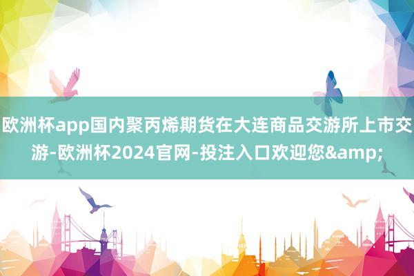 欧洲杯app国内聚丙烯期货在大连商品交游所上市交游-欧洲杯2024官网-投注入口欢迎您&