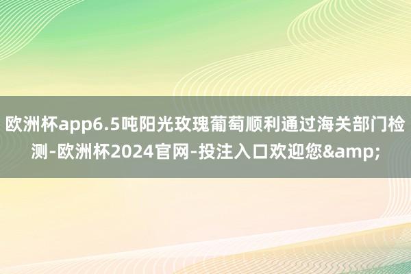 欧洲杯app6.5吨阳光玫瑰葡萄顺利通过海关部门检测-欧洲杯2024官网-投注入口欢迎您&