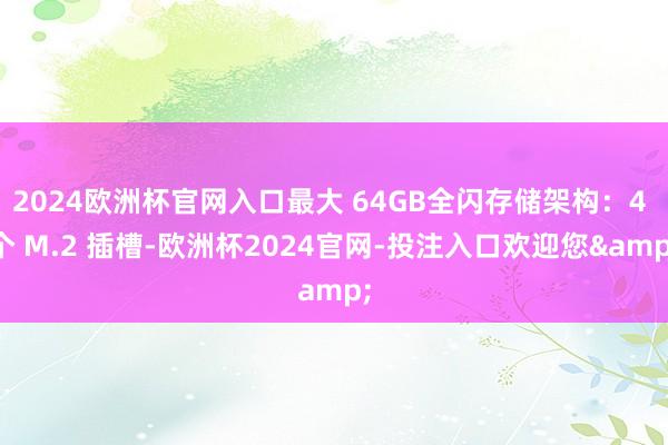 2024欧洲杯官网入口最大 64GB全闪存储架构：4 个 M.2 插槽-欧洲杯2024官网-投注入口欢迎您&