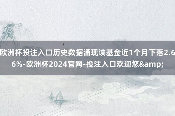 欧洲杯投注入口历史数据涌现该基金近1个月下落2.66%-欧洲杯2024官网-投注入口欢迎您&