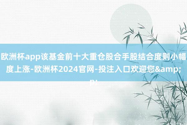 欧洲杯app该基金前十大重仓股合手股结合度则小幅度上涨-欧洲杯2024官网-投注入口欢迎您&