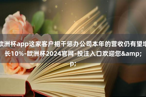 欧洲杯app这家客户相干惩办公司本年的营收仍有望增长10%-欧洲杯2024官网-投注入口欢迎您&